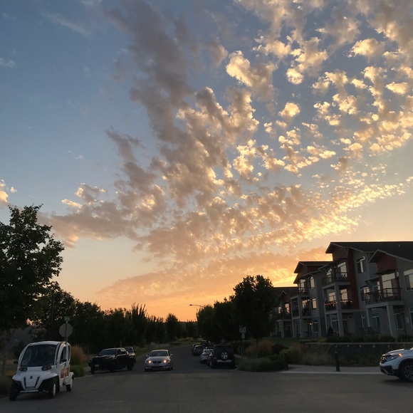 Meet your Posher, Mitchell - Picture 1 of 1